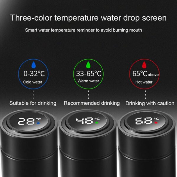 Stainless Steel Temperature Bottle (500ml) - Image 9