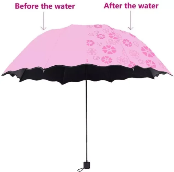 Magic Umbrella - Image 2